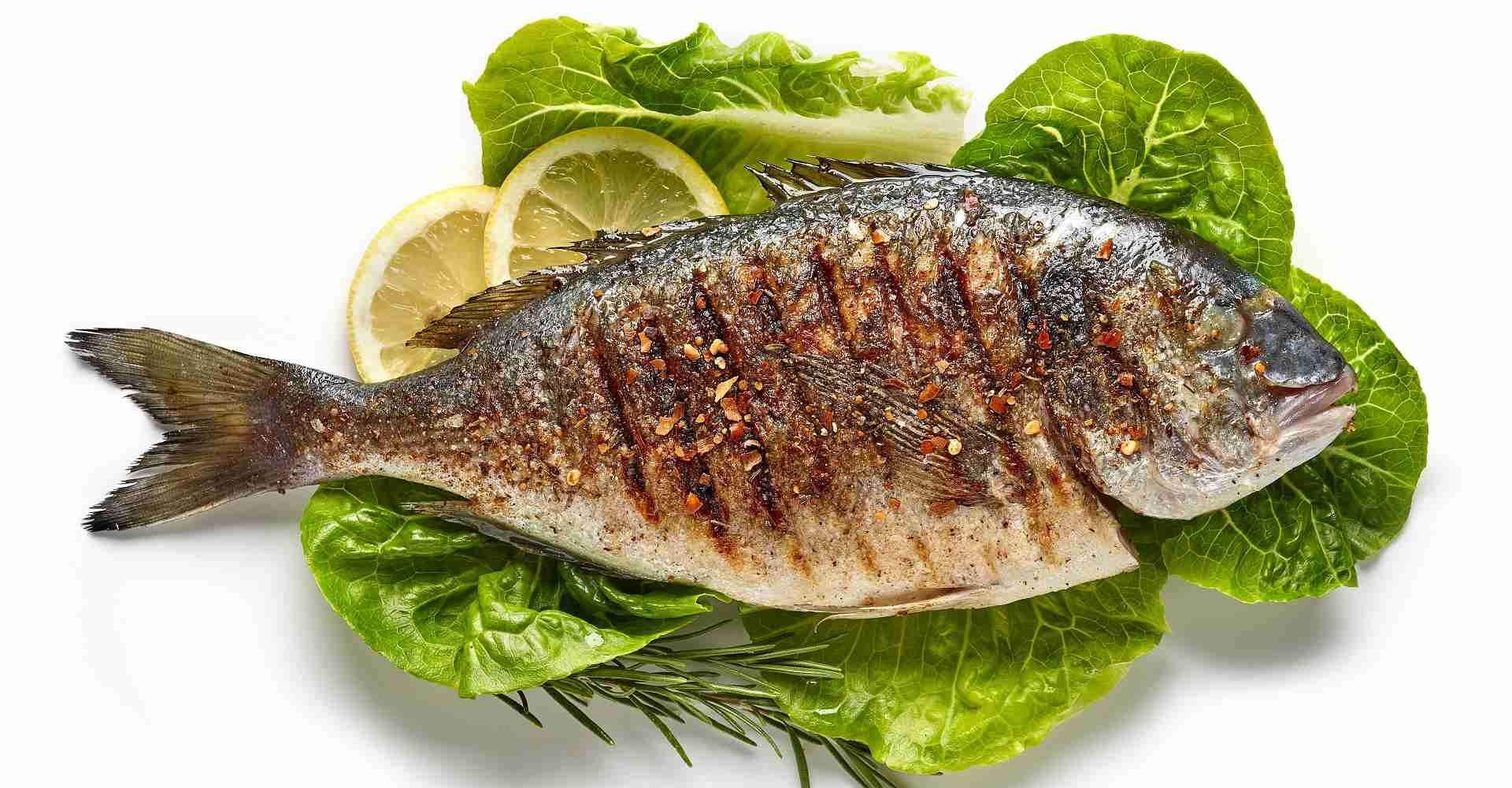 grilled fish