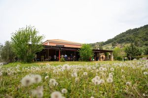 Αγιαννάκης: Δόση αυθεντικού καλοκαιριού στη μεγαλύτερη ενιαία παραλία της Ελλάδας  - FlagInLife