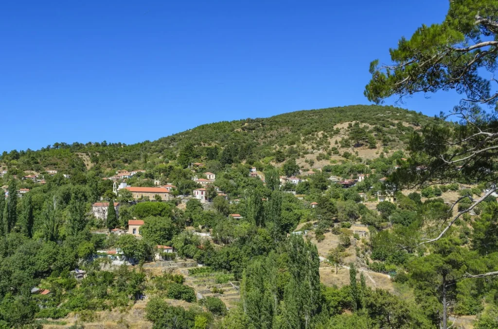 Λέσβος: Ένα νησί με ιστορία, πολιτισμό και γεύσεις που αξίζει να ανακαλύψετε 7 Λέσβος: Ένα νησί με ιστορία, πολιτισμό και γεύσεις που αξίζει να ανακαλύψετε - FlagInLife