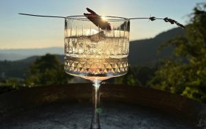 Μικρό Πάπιγκο 1700: Mια όαση χαλάρωσης και καλού γούστου - FlagInLife