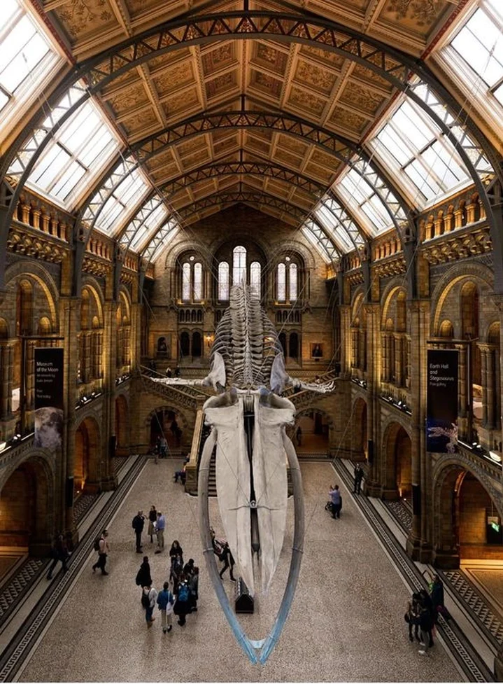 Μουσείο Φυσικής Ιστορίας Λονδίνο