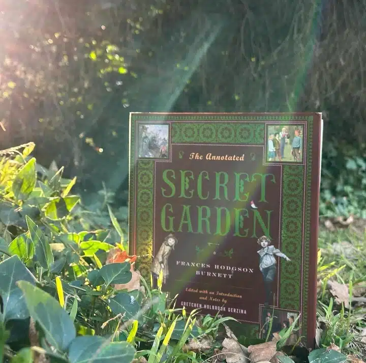 το εξώφυλλο του βιβλίου ο μυστικός κήπος
