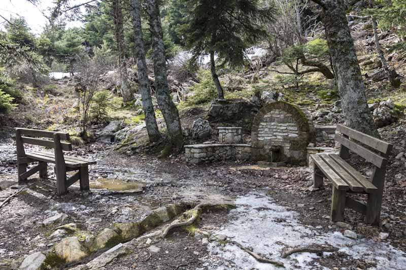 Μπάφι: πεζοπορία στην Πάρνηθα και πανέμορφη θέα - FlagInLife