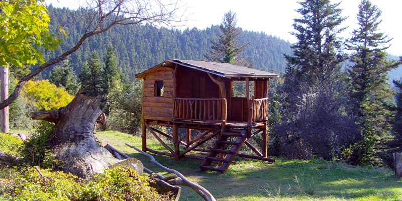 Απόδραση στο Μαίναλο με έδρα τη Δημητσάνα, στο βουνό όπου η φύση έχει το πάνω χέρι.  - FlagInLife