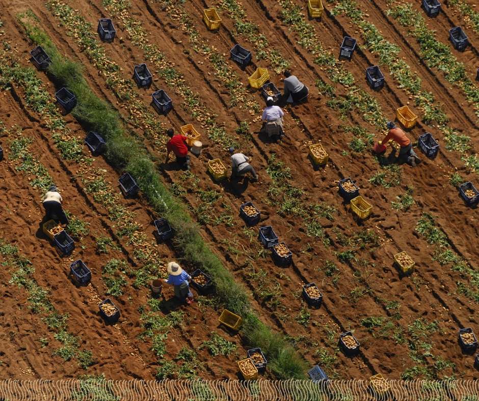 Costa Navarino 2025: Αναβαθμισμένη γαστρονομία με φιλοσοφία και όραμα - FlagInLife