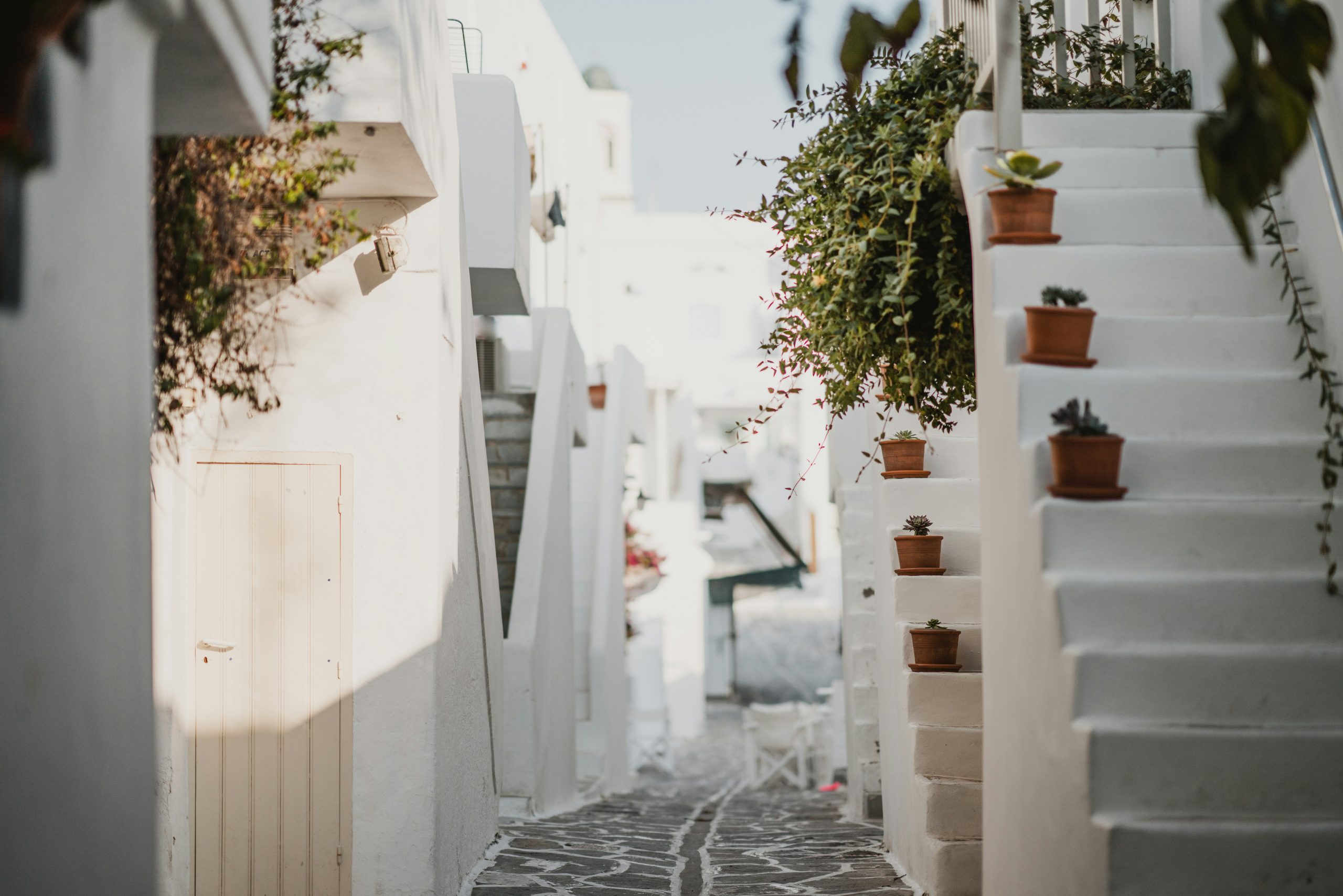 annie-spratt-DHK2G5qgKGQ-unsplash