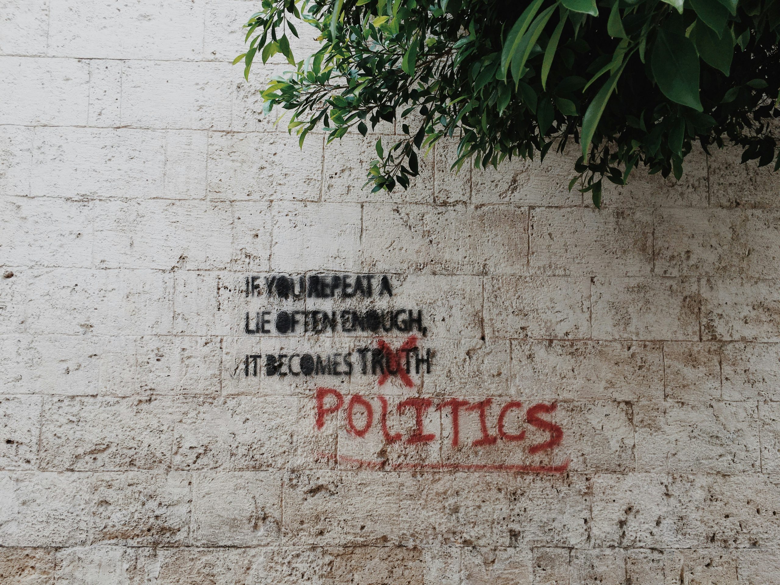 brian-wertheim-AX6mFEv6mpY-unsplash