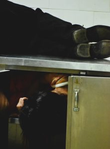 «Η αλεπού θα ξανάρθει»: Μια συγκλονιστική κατάδυση στη μνήμη και την ψυχική τρωτότητα - FlagInLife