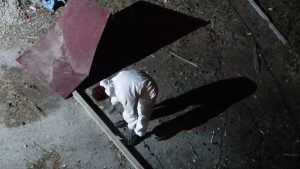«Η αλεπού θα ξανάρθει»: Μια συγκλονιστική κατάδυση στη μνήμη και την ψυχική τρωτότητα - FlagInLife