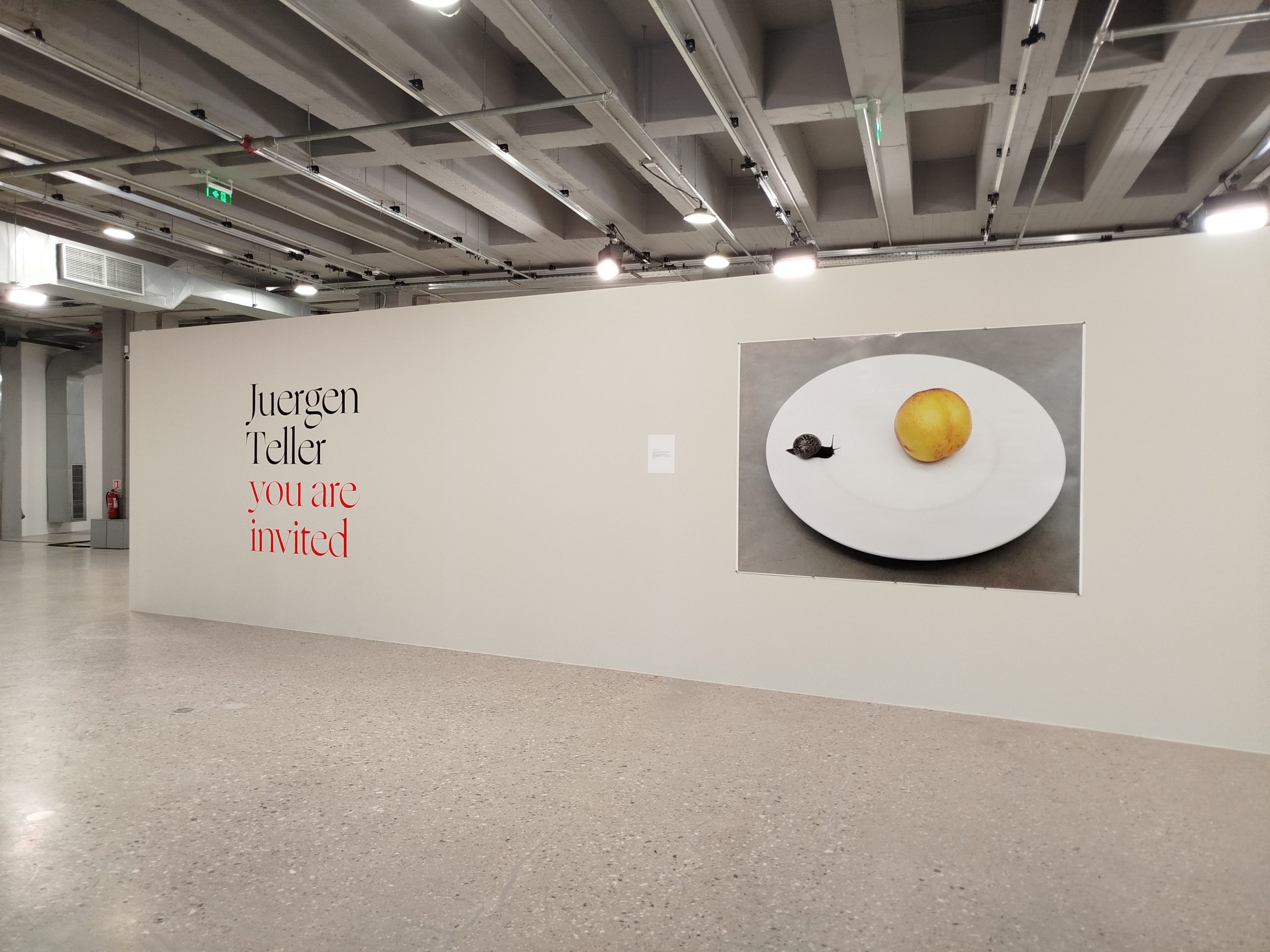 IMG_20251025_182109 IMG_20251025_182109