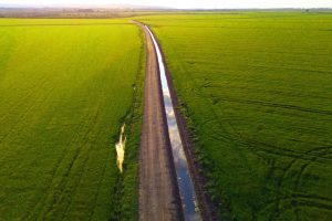 Ελληνικό Ρύζι: Πηγή ζωής, νόστιμο γεύσεων, αλλά και "αιματοδότης" της εθνικής οικονομίας - FlagInLife