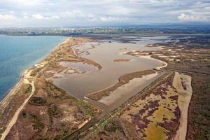 Ελληνικό Ρύζι: Πηγή ζωής, νόστιμο γεύσεων, αλλά και "αιματοδότης" της εθνικής οικονομίας - FlagInLife