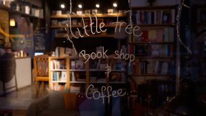 Μια Χριστουγεννιάτικη Βόλτα από την Κηφισιά έως τον Πειραιά - FlagInLife