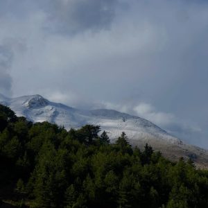 Satyrus: Εκεί όπου ο Ερμής ξαναγεννιέται μέσα στη φωτιά της Ζήρειας - FlagInLife