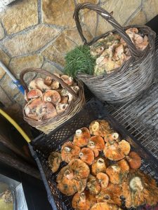 Το Σπίτι της Μαριώς: Μια γαστρονομική εμπειρία στην καρδιά του Χελμού 3 Το Σπίτι της Μαριώς: Μια γαστρονομική εμπειρία στην καρδιά του Χελμού - FlagInLife