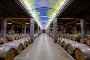 Nico Lazaridi “Μαγικό Βουνό” | 35 Χρόνια Μαγείας - FlagInLife