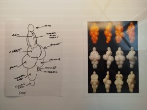 Jeff Koons «Αφροδίτη» του Lespugue: γιατί η νέα έκθεση στο Μουσείο Κυκλαδικής Τέχνης είναι κάτι παραπάνω από ένα πολιτιστικό δρώμενο - FlagInLife