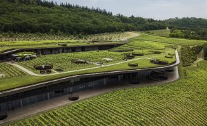 Wine Escapes στην Τοσκάνη: 3 Οινοποιεία που αξίζει να επισκεφθείς 2 Wine Escapes στην Τοσκάνη: 3 Οινοποιεία που αξίζει να επισκεφθείς - FlagInLife