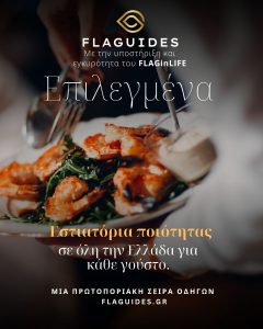 FLAGUIDES 1 FLAGUIDES - FlagInLife