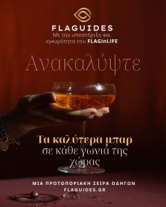 FLAGUIDES 3 FLAGUIDES - FlagInLife
