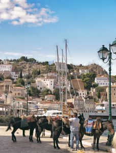 Ύδρα: 6 νέες γευστικές αφίξεις που αξίζει να ανακαλύψετε - FlagInLife