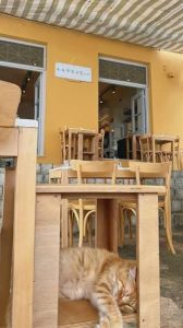 Ύδρα: 6 νέες γευστικές αφίξεις που αξίζει να ανακαλύψετε - FlagInLife
