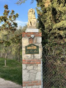 La Tour Melas: Wine tasting, πολυτελή lodges και ένα από τα κορυφαία ελληνικά οινοποιεία - FlagInLife