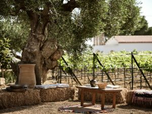 Fiore Fine Dining: To γαστρονομικό όραμα του Νίκου Ισπυρούδη είναι ένα ταξίδι στην αυθεντική, αριστοκρατική Ζάκυνθο - FlagInLife