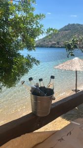 Πτελεός Μαγνησίας: Το αυθεντικό παραθαλάσσιο χωριό με τις υπέροχες παραλίες και τα τσιπουράδικα - FlagInLife