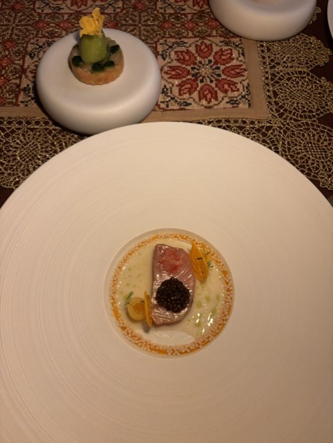 Treehouse restaurant: Το fine dining εστιατόριο πάνω στα δέντρα της Βουρβουρούς - FlagInLife