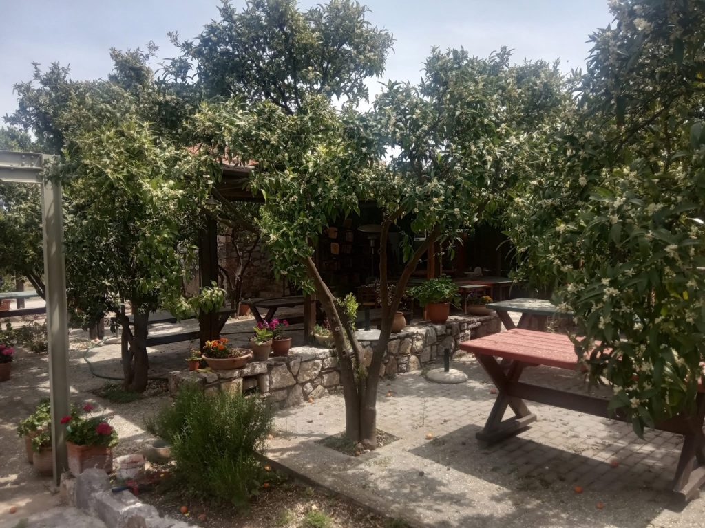 Καλογερικόν: Η ταβέρνα στην Αρχαία Επίδαυρο που μαγειρεύει τον ίδιο τον τόπο 1 Καλογερικόν: Η ταβέρνα στην Αρχαία Επίδαυρο που μαγειρεύει τον ίδιο τον τόπο - FlagInLife