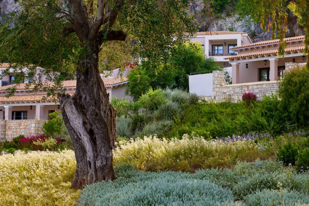 Angsana Corfu Resort & Spa: Oribu και Sofrito, δύο γαστρονομικά ταξίδια - FlagInLife