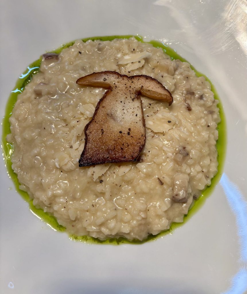 Vinoteca Wine & Food: Γεύση και κρασί στην Αμαλιάδα 6 Vinoteca Wine & Food: Γεύση και κρασί στην Αμαλιάδα - FlagInLife