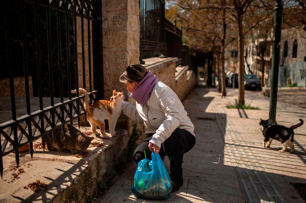 Ζωοφιλία vs Ανθρωποφιλία: Ποια ζώα έχουν περισσότερο την ανάγκη μας; - FlagInLife