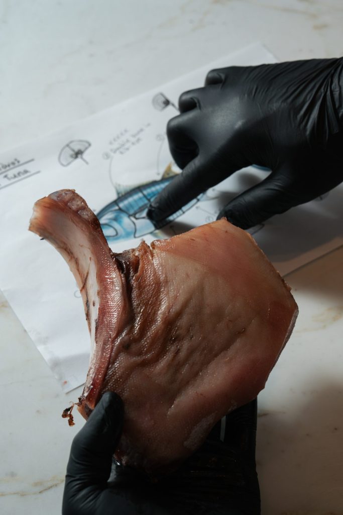 BLUEFIN MASTERCLASS | From Whole Fish to Maximum Value 4 BLUEFIN MASTERCLASS | From Whole Fish to Maximum Value - FlagInLife