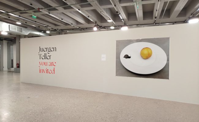 IMG_20251025_182109 IMG_20251025_182109