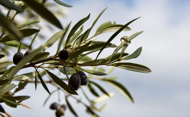 nadine-marfurt-DyEdTr9eqPo-unsplash